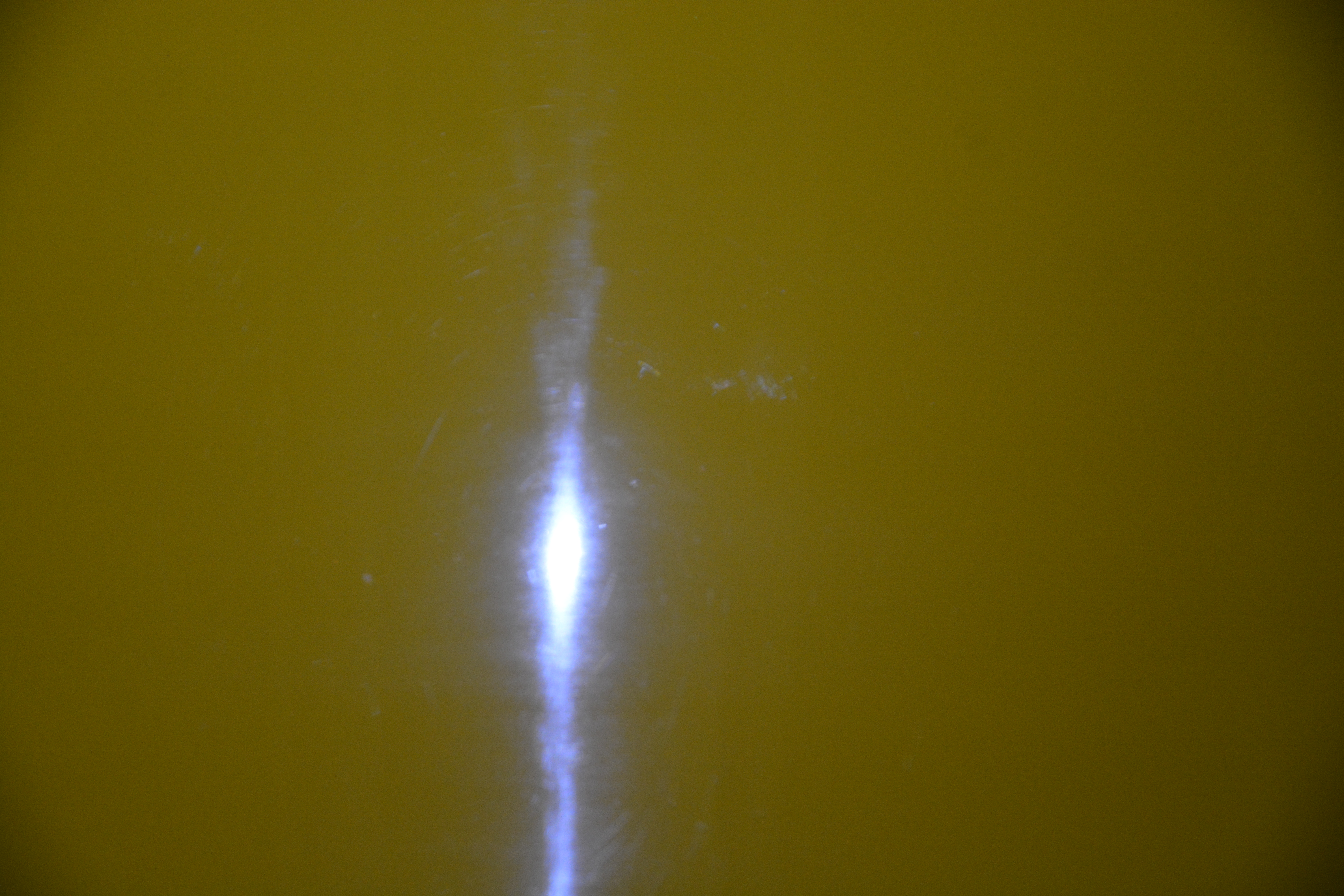FC393E0C-7AC9-4A57-8D56-C780F2E4DFC9.jpe