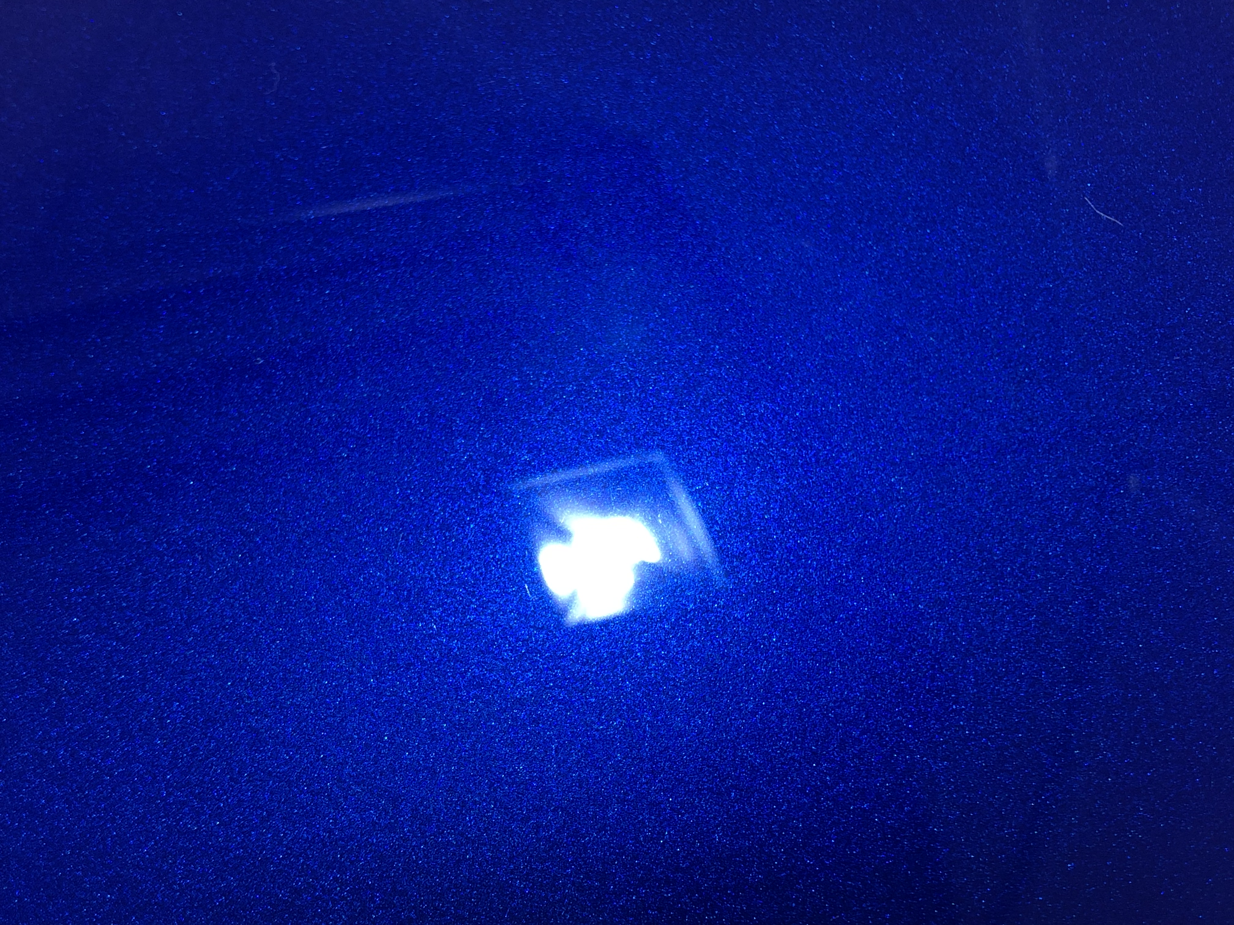 IMG_3892.jpeg